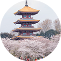 j9国际站(中国)集团官网